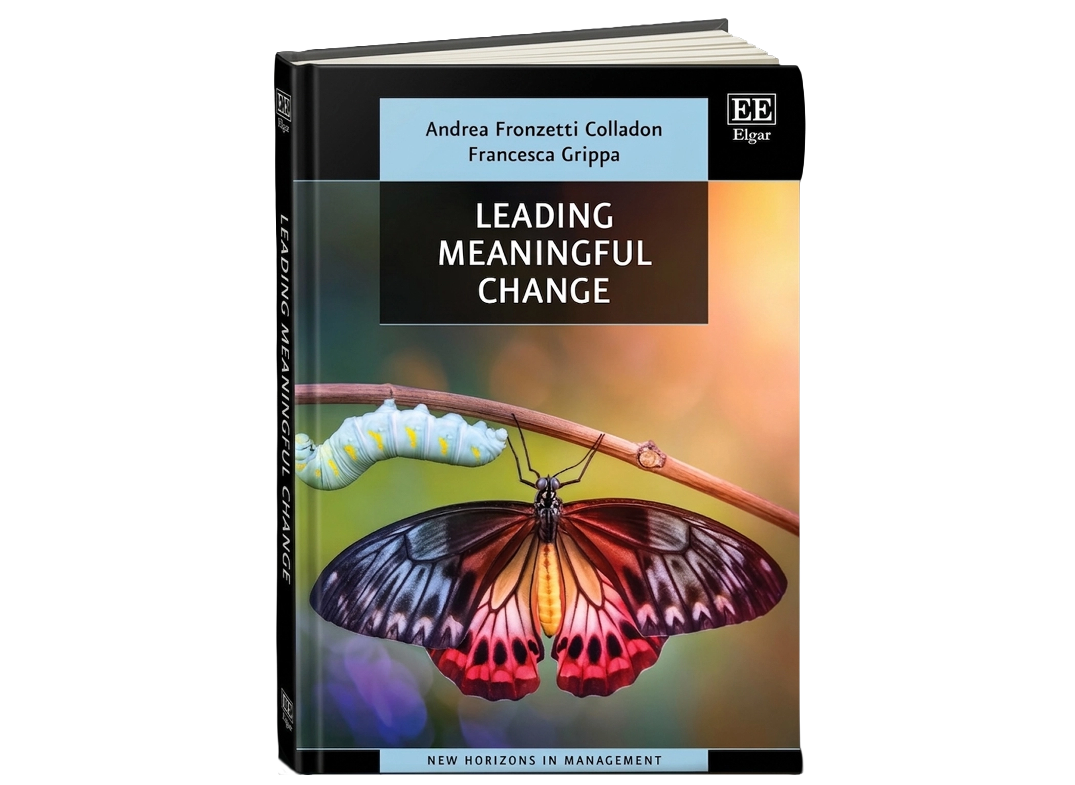 Leading Meaningful Change - Book